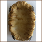 Bambinello con culla preseppe in resina 7 cm Statuina decorazioni natalizie Gesù bambino